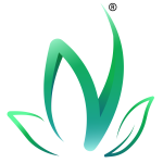 Neoaktif